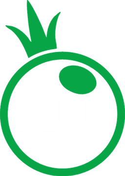 Pragmaplus Logo